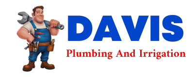 Trusted plumber in SAINT MARYS